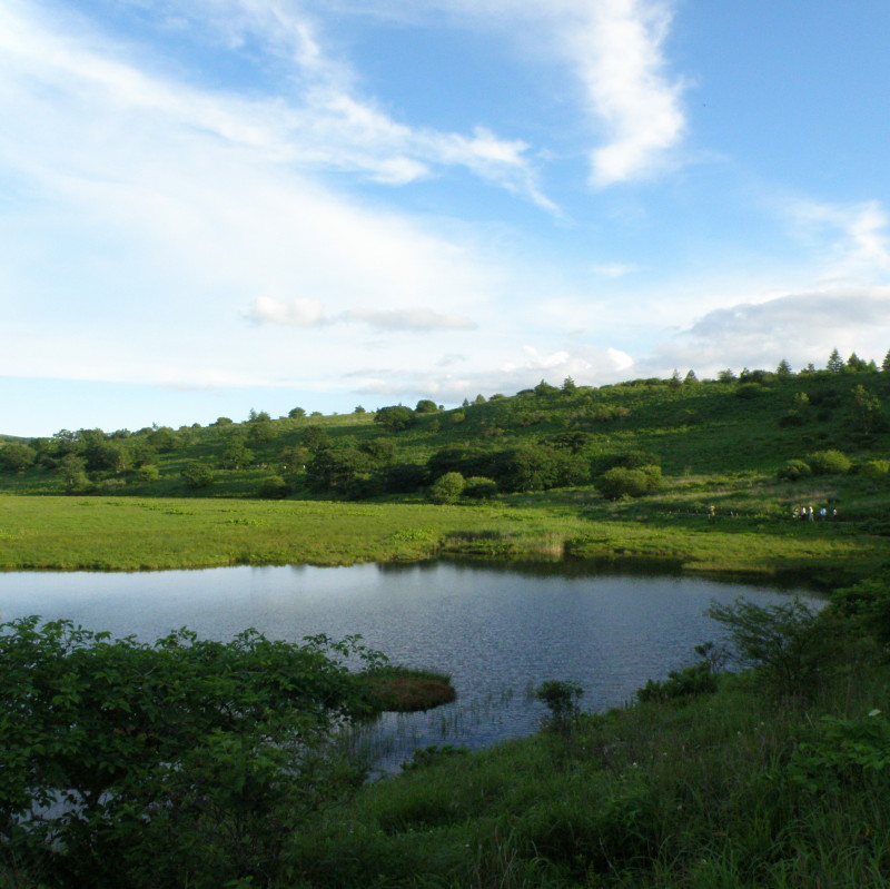 三井悠